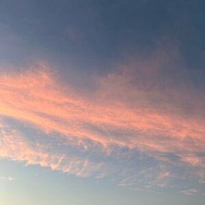 Meet your Posher, Soph